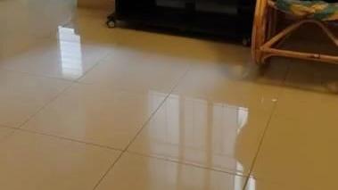 Featured Video