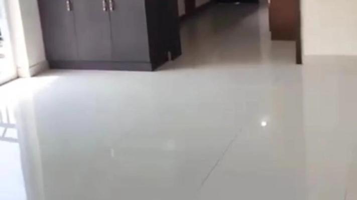 Featured Video