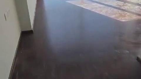 Featured Video