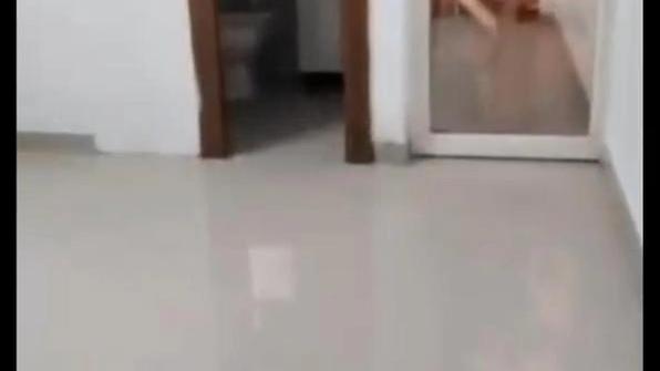 Featured Video