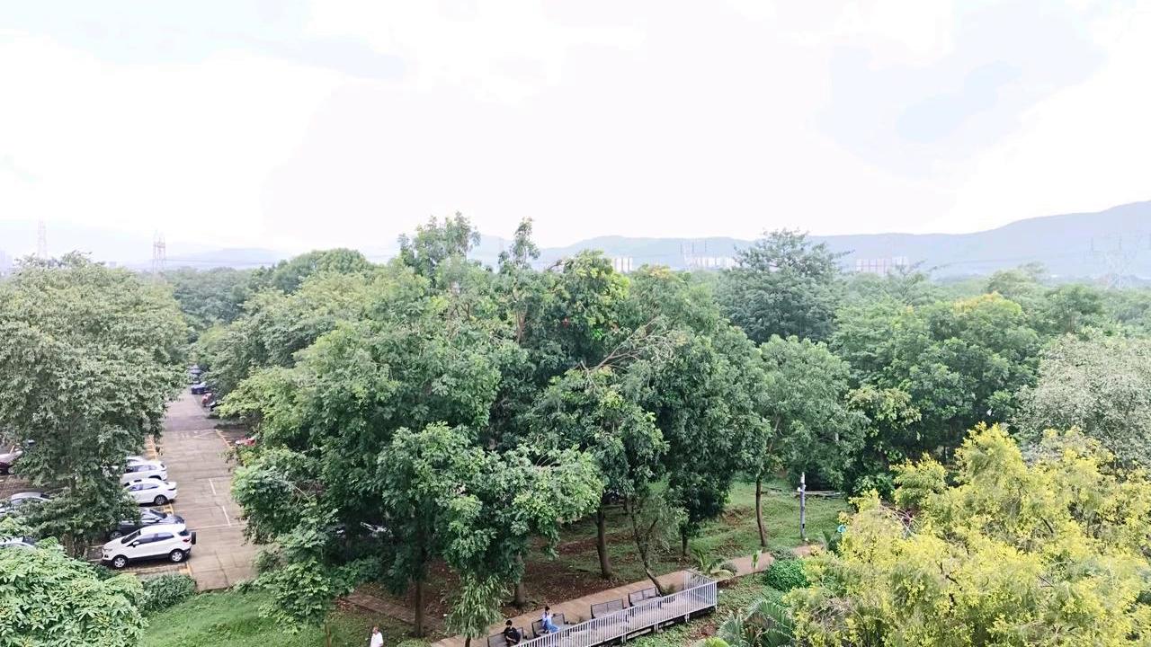 Featured Video